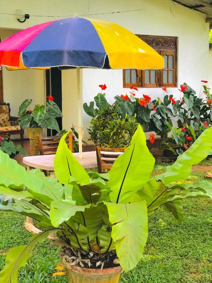 Sigiri Lakshan Home Stay Sigiriya Exterior foto