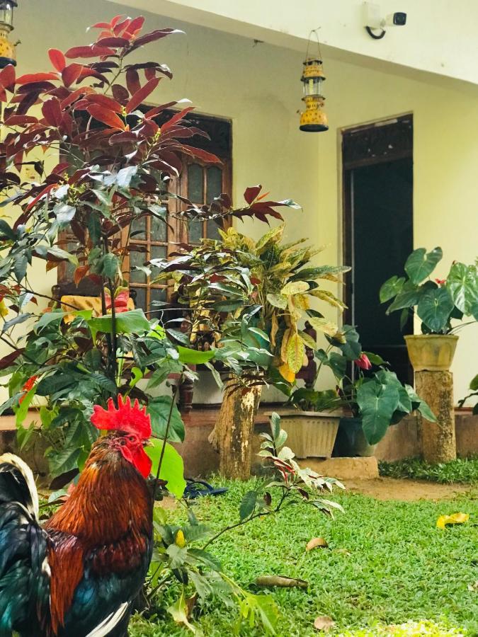 Sigiri Lakshan Home Stay Sigiriya Exterior foto